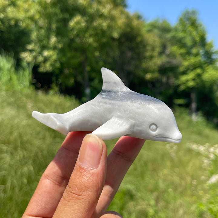 Natural TaiJi Stone Dolphin Carving