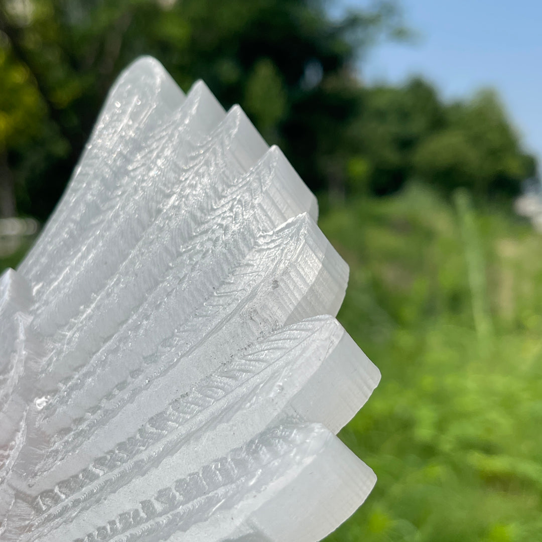 Unique,A Slightly Imperfect Natural Crystal Selenite Wings Carving