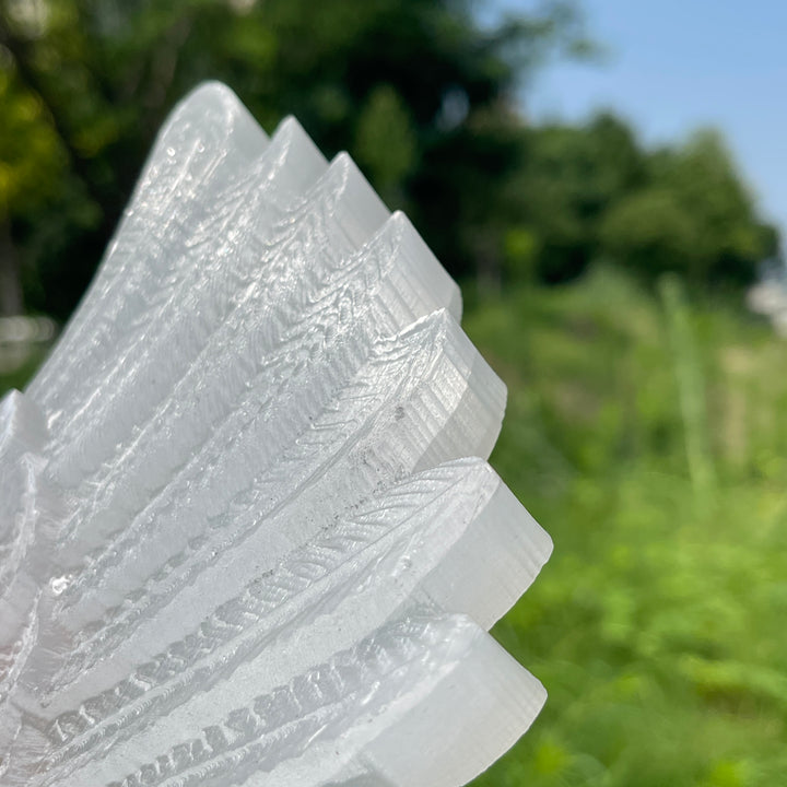 Unique,A Slightly Imperfect Natural Crystal Selenite Wings Carving