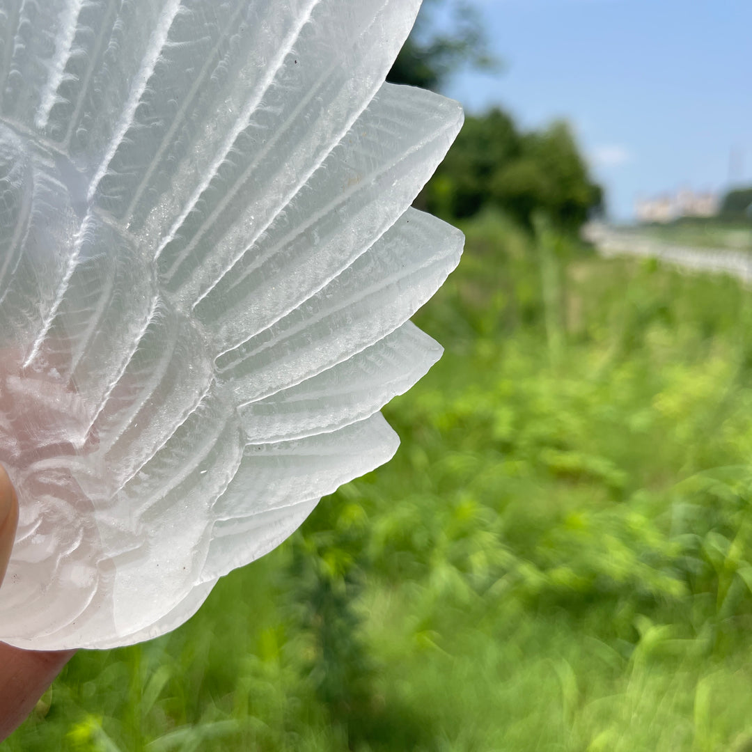Unique,A Slightly Imperfect Natural Crystal Selenite Wings Carving