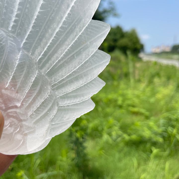 Unique,A Slightly Imperfect Natural Crystal Selenite Wings Carving