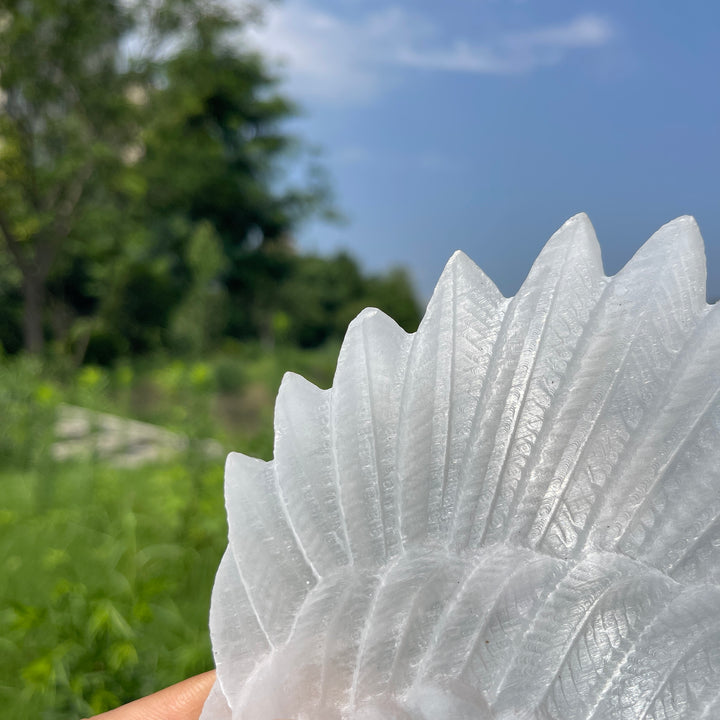 Unique,A Slightly Imperfect Natural Crystal Selenite Wings Carving