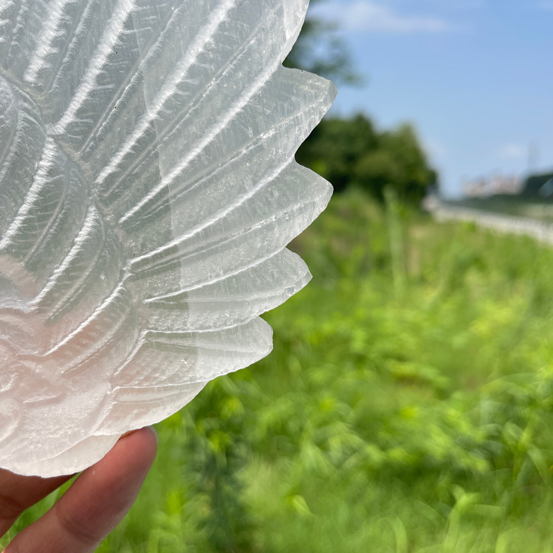Unique,A Slightly Imperfect Natural Crystal Selenite Wings Carving