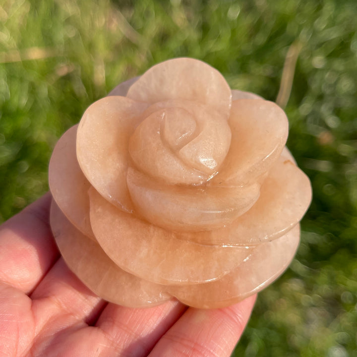 Natural Full-Bloom Rose Flower Carving