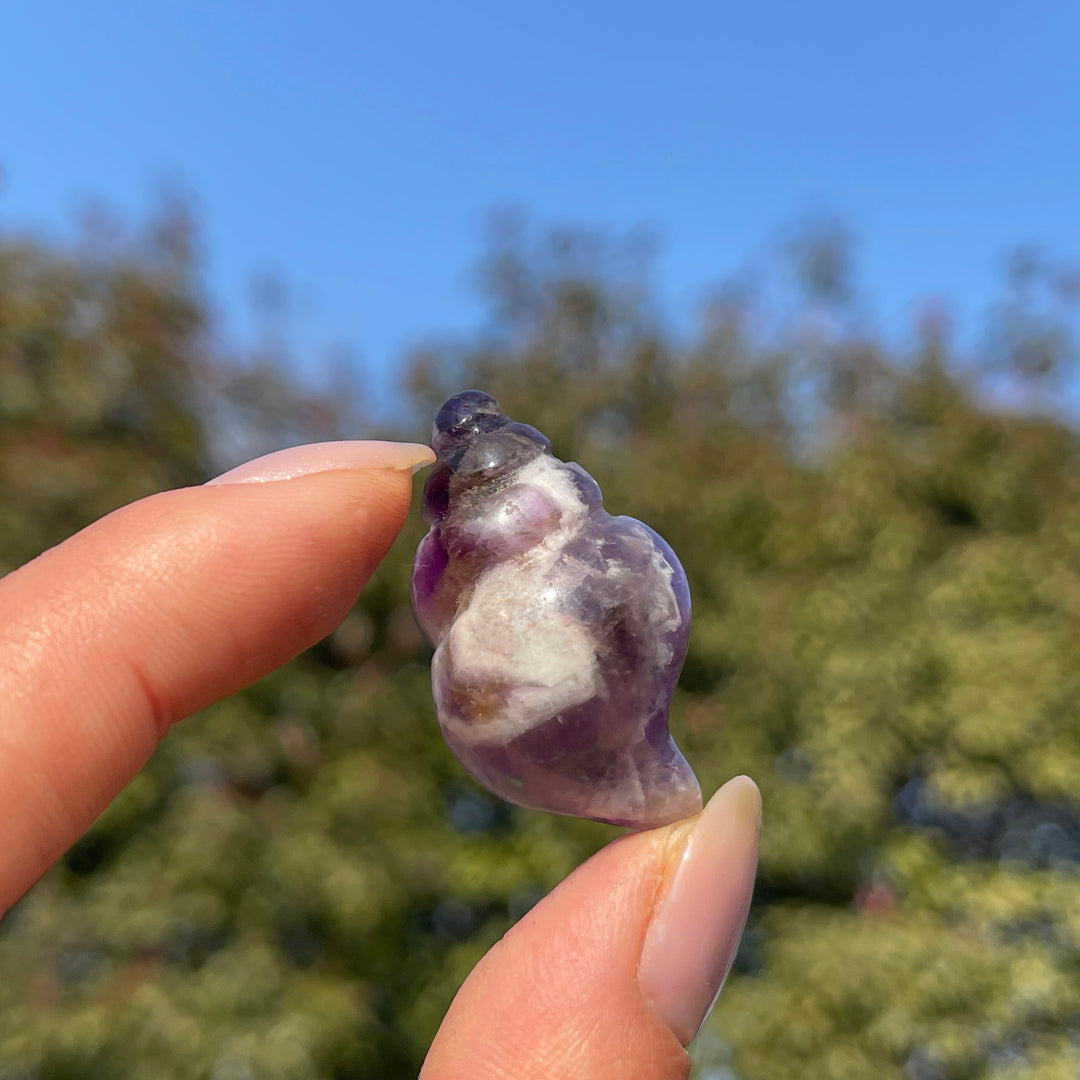 Natural Crystal Mini Conch Carving