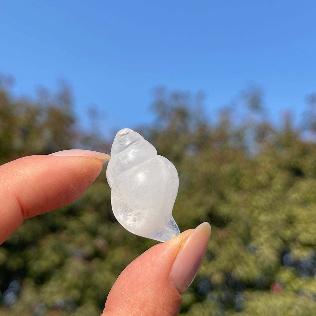 Natural Crystal Mini Conch Carving