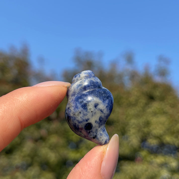 Natural Crystal Mini Conch Carving