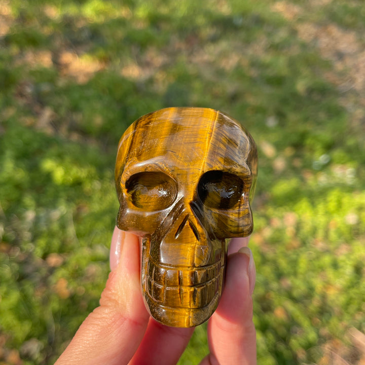 Unique,Natural Crystal Tiger Eye Skull