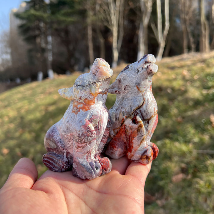 Mexican Agate Wolf
