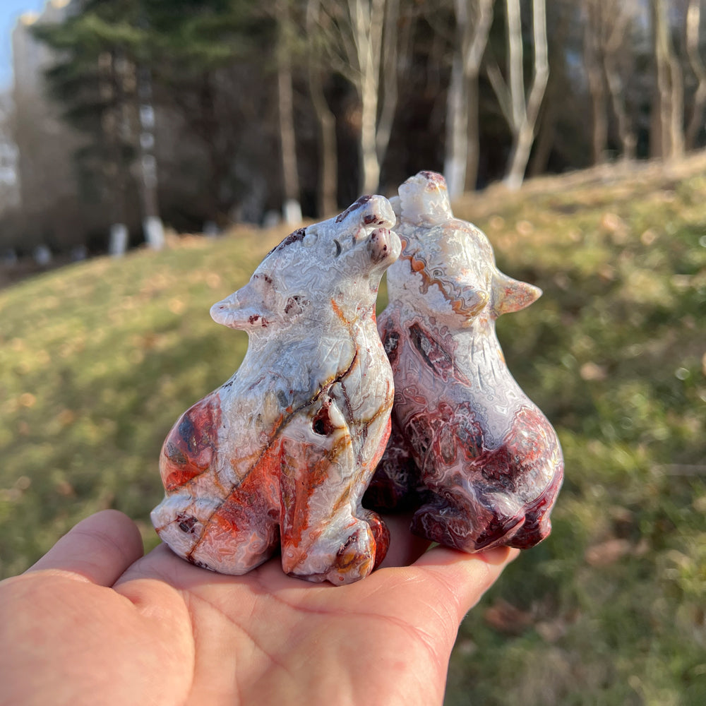Mexican Agate Wolf