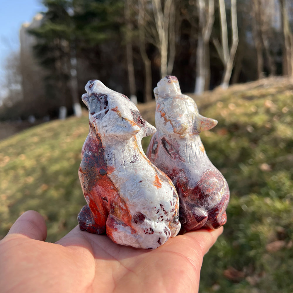 Mexican Agate Wolf