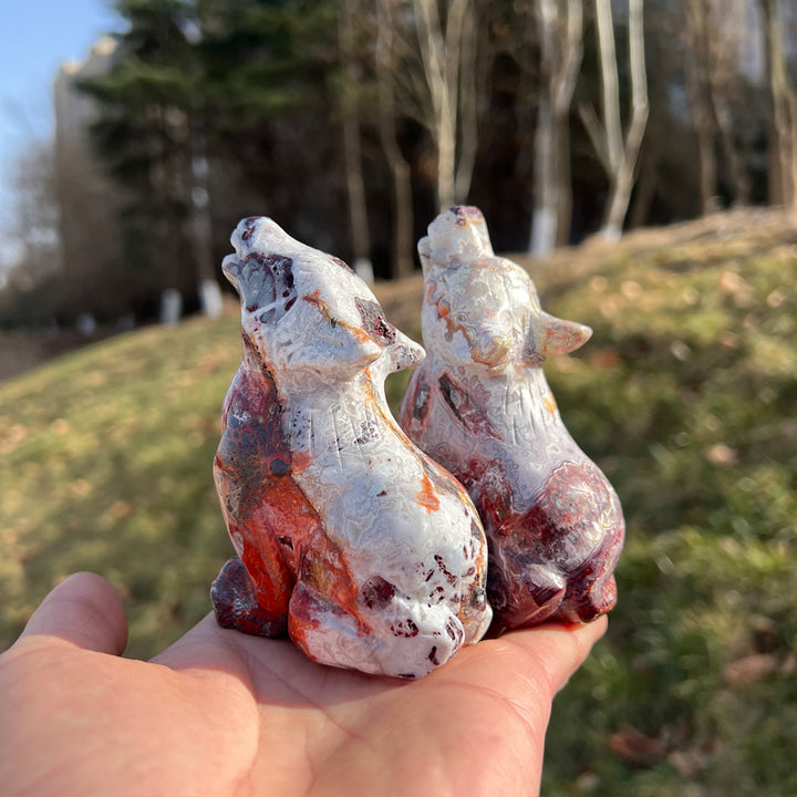 Mexican Agate Wolf