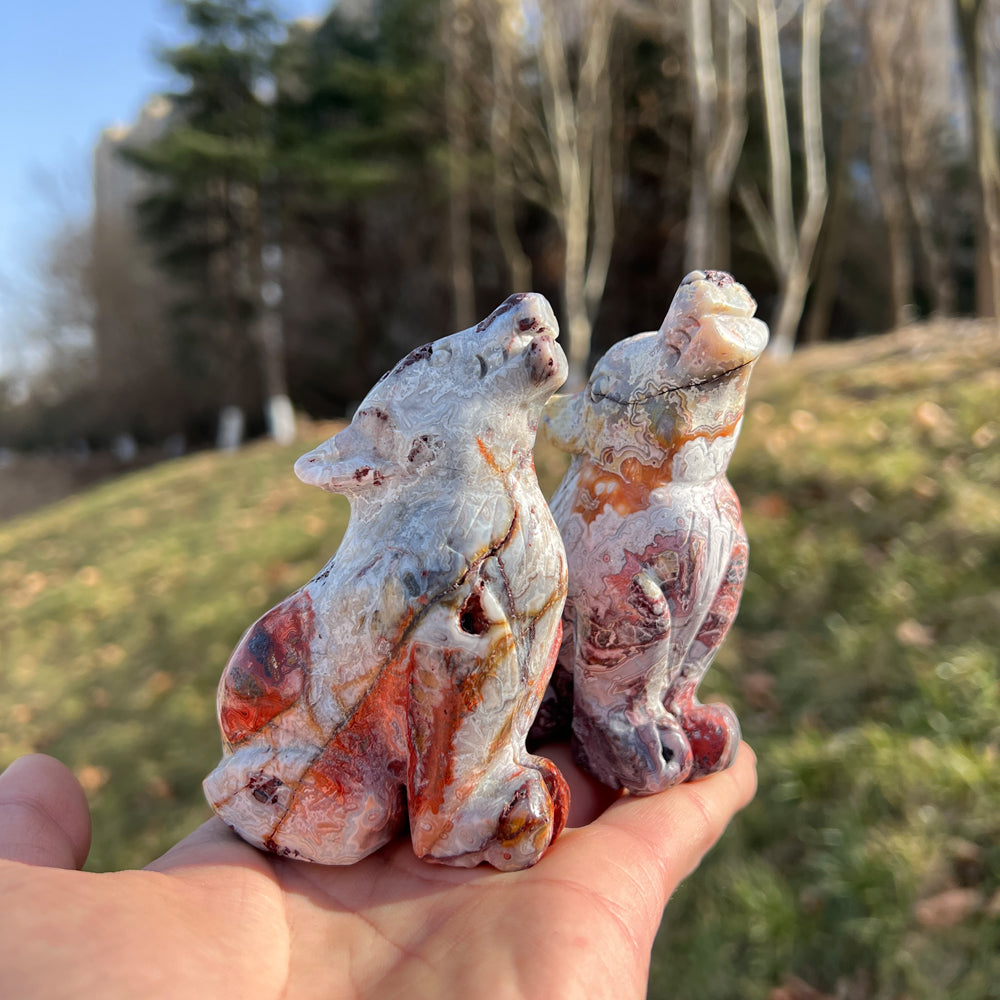Mexican Agate Wolf