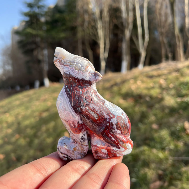 Mexican Agate Wolf