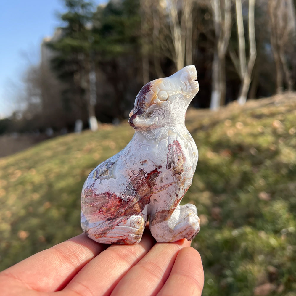 Mexican Agate Wolf