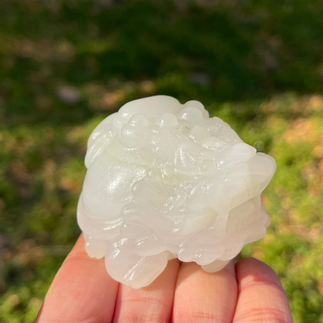 Unique,Natural Crystal Carving Dragon Turtle