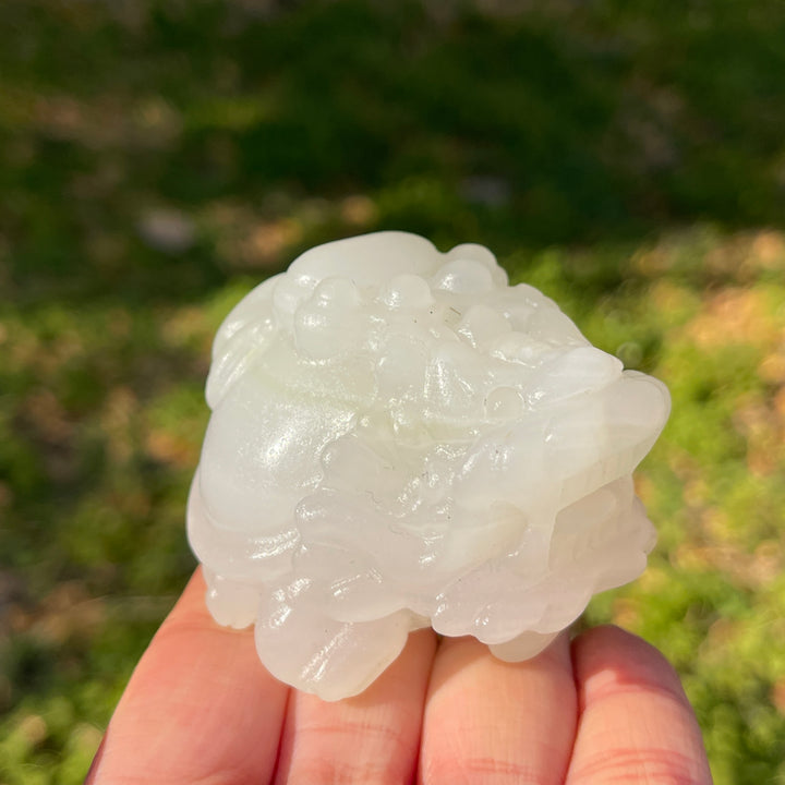 Unique,Natural Crystal Carving Dragon Turtle