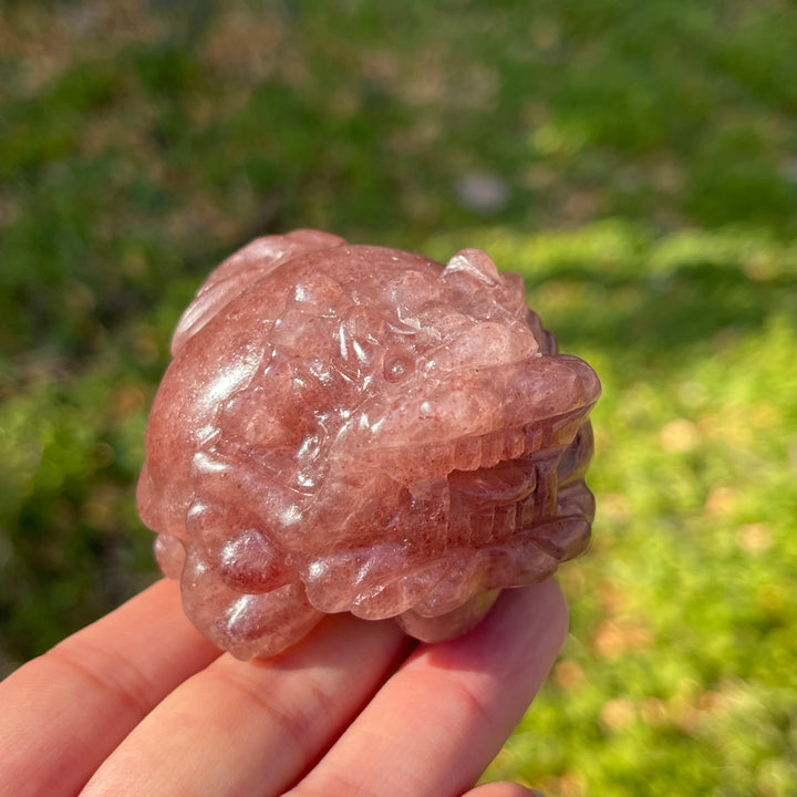 Unique,Natural Crystal Carving Dragon Turtle