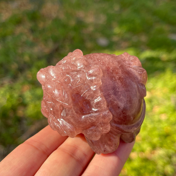 Unique,Natural Crystal Carving Dragon Turtle