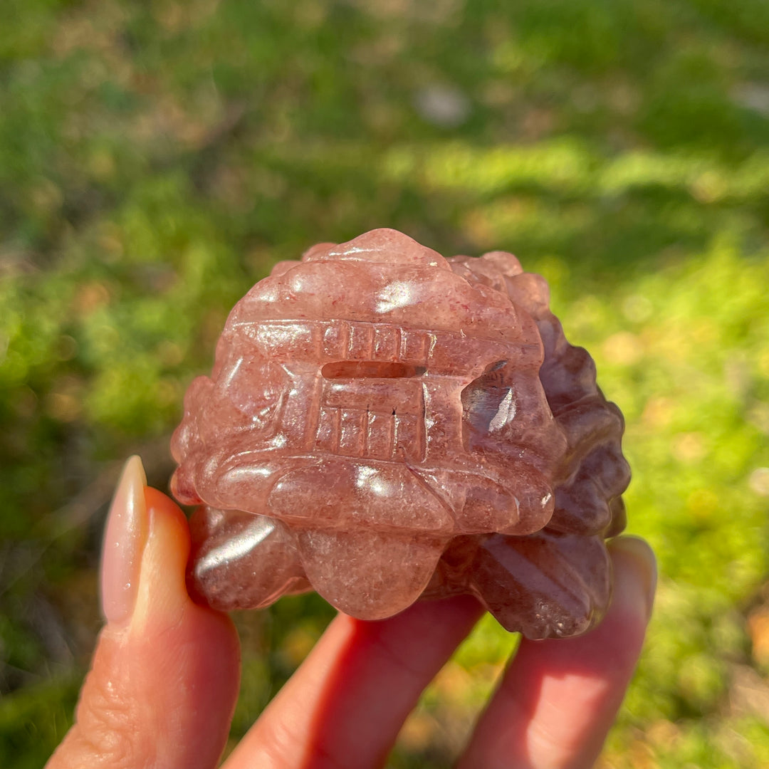 Unique,Natural Crystal Carving Dragon Turtle