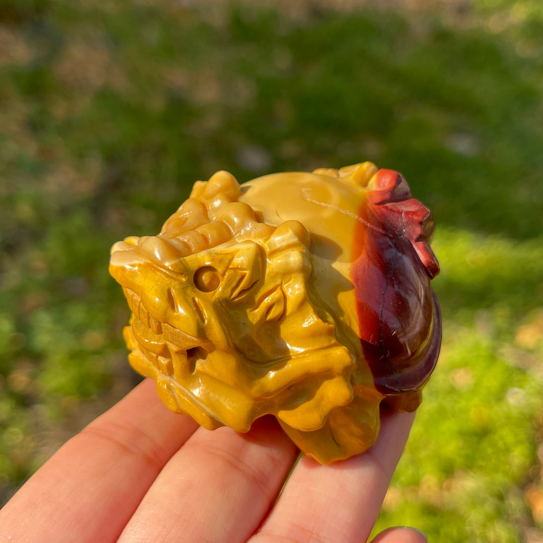 Unique,Natural Crystal Carving Dragon Turtle