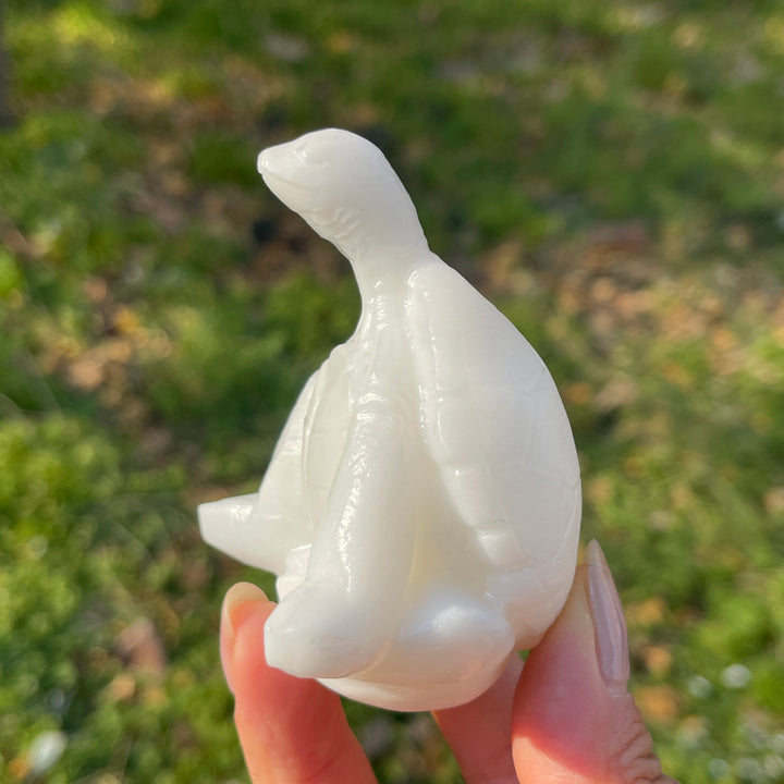 Natural Crystal Carving Meditating Sea Turtle