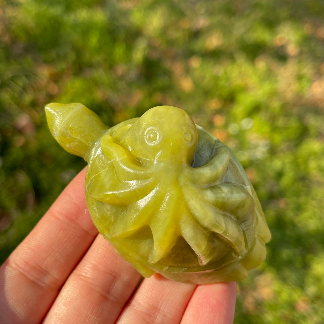 Natural Crystal Carving Octopus-Turtle Symbiosis