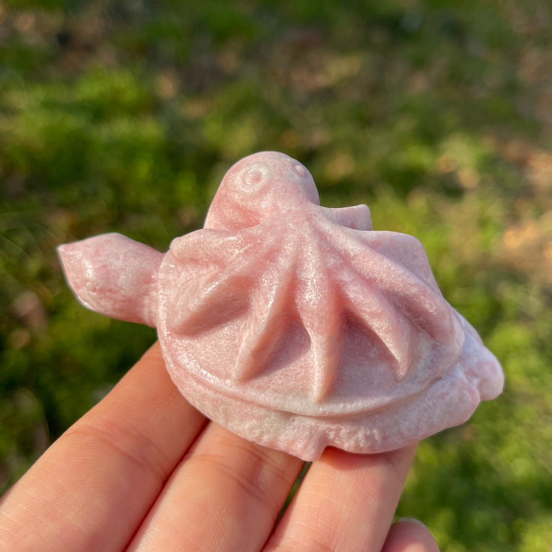 Natural Crystal Carving Octopus-Turtle Symbiosis