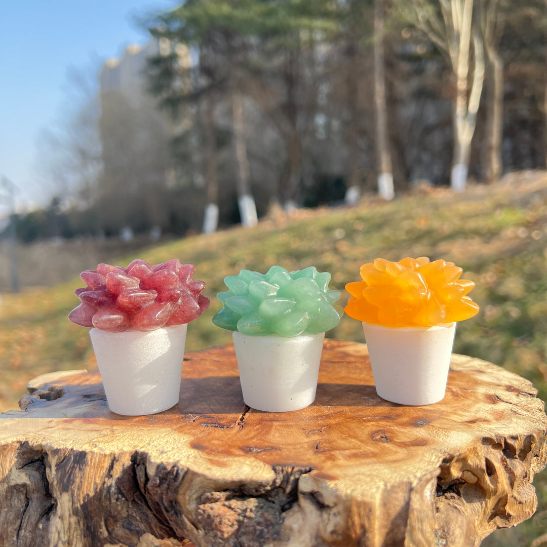 crystal succulent planter Natural Crystal Carving Succulent Pot – KiKi Crystal