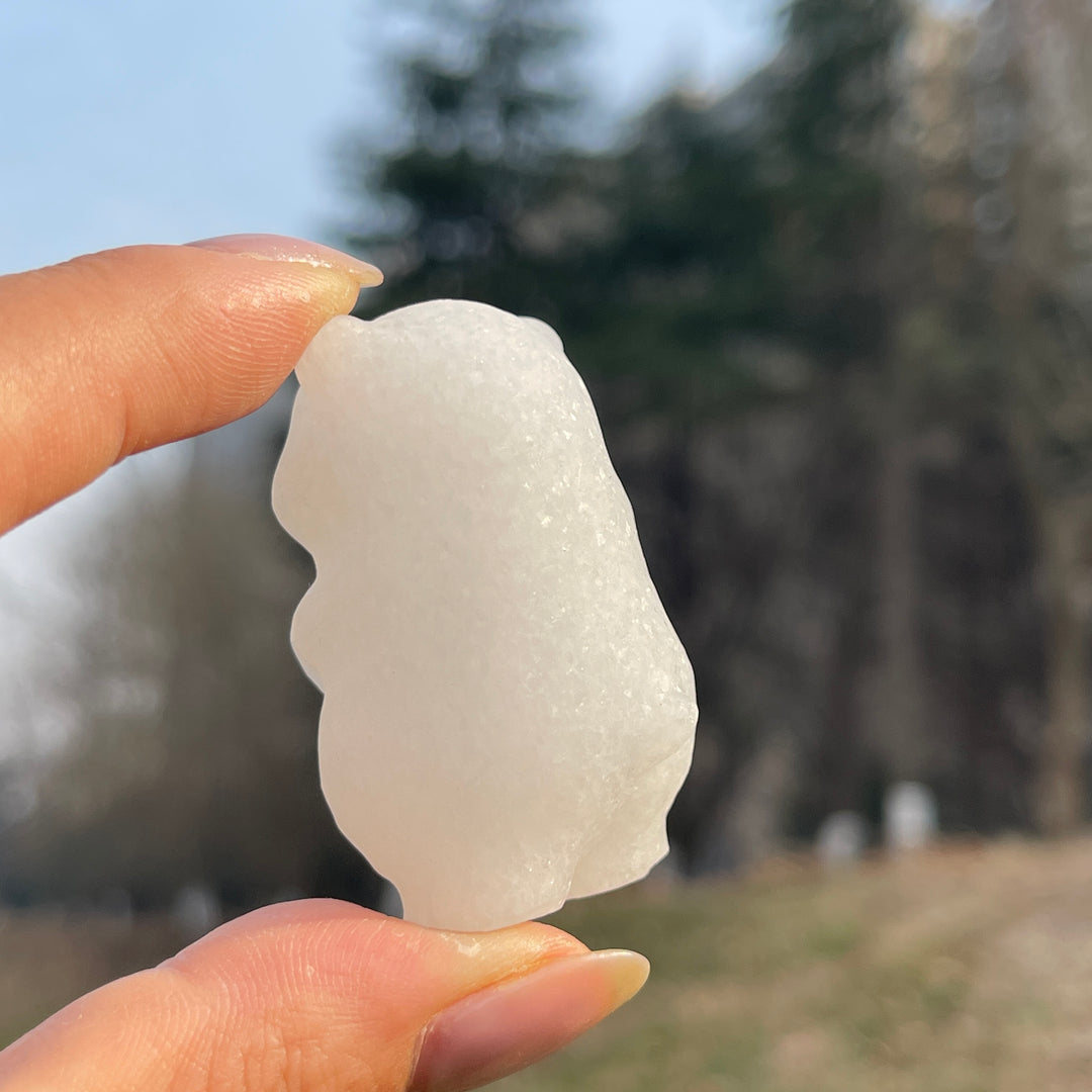 Natural Crystal Carving White Jade Bear