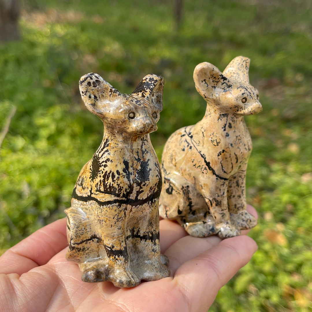 Picture Jasper Sphynx Cat