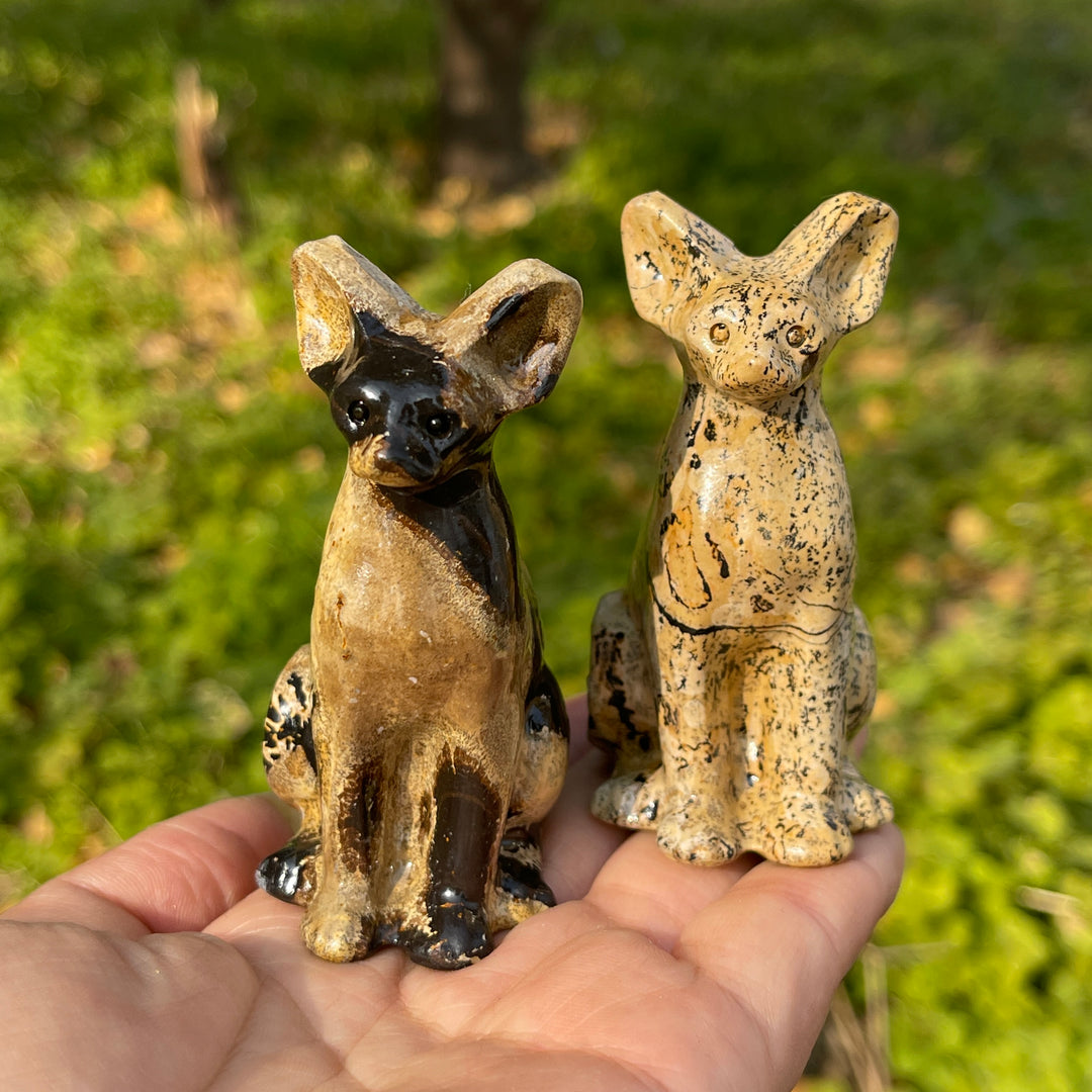 Picture Jasper Sphynx Cat