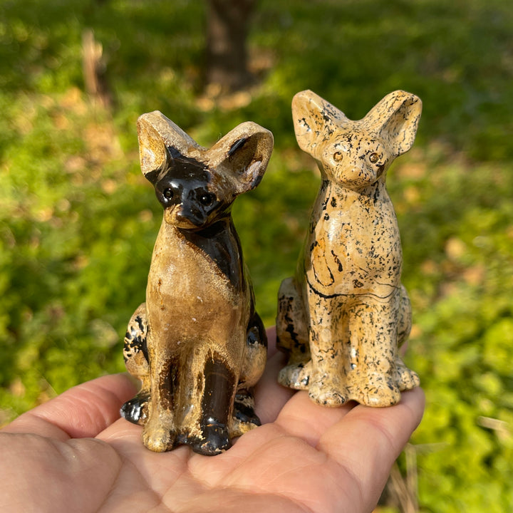 Picture Jasper Sphynx Cat