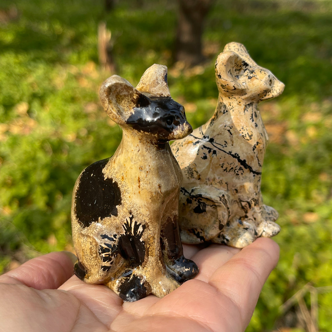 Picture Jasper Sphynx Cat