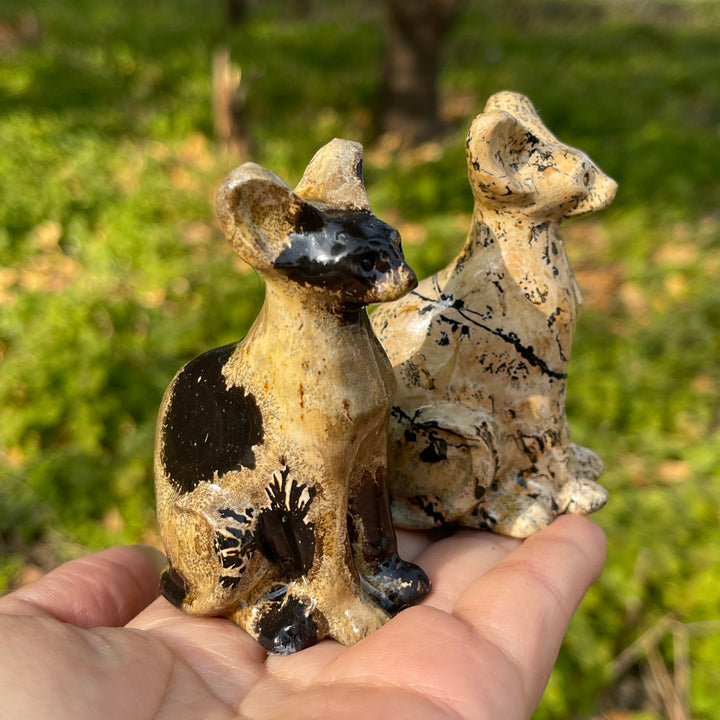 Picture Jasper Sphynx Cat