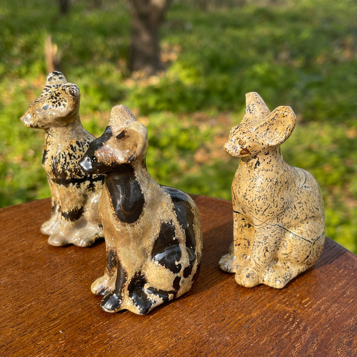 Picture Jasper Sphynx Cat