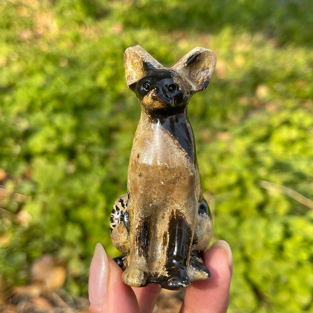 Picture Jasper Sphynx Cat