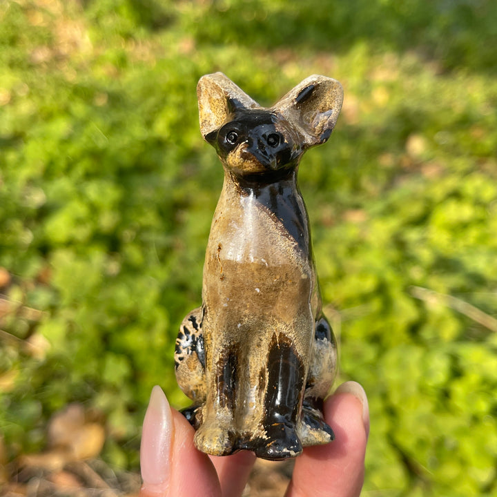 Picture Jasper Sphynx Cat