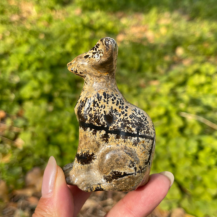 Picture Jasper Sphynx Cat