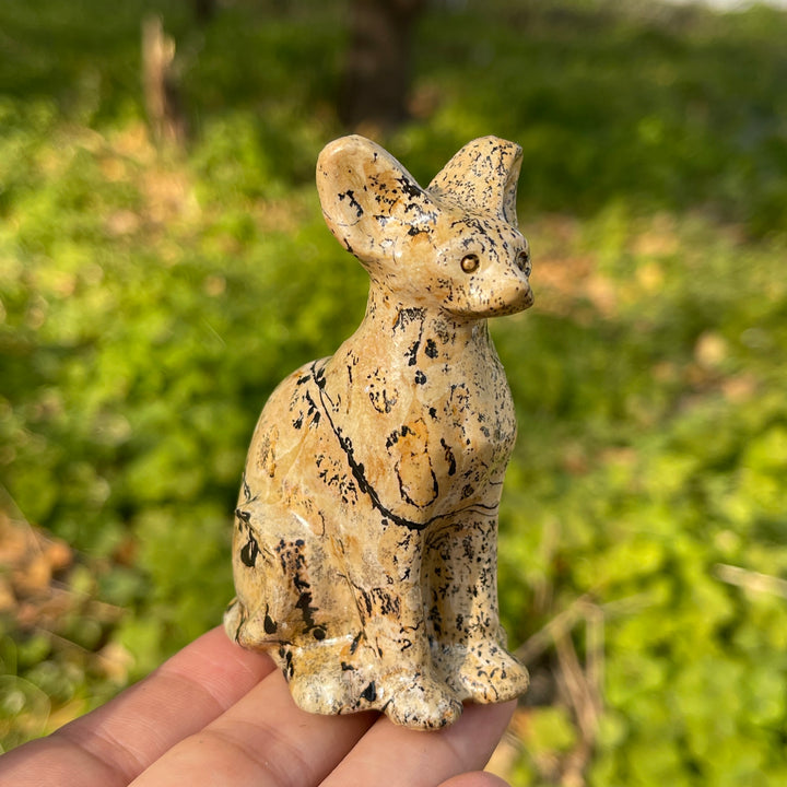 Picture Jasper Sphynx Cat