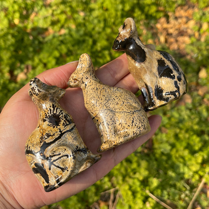 Picture Jasper Sphynx Cat