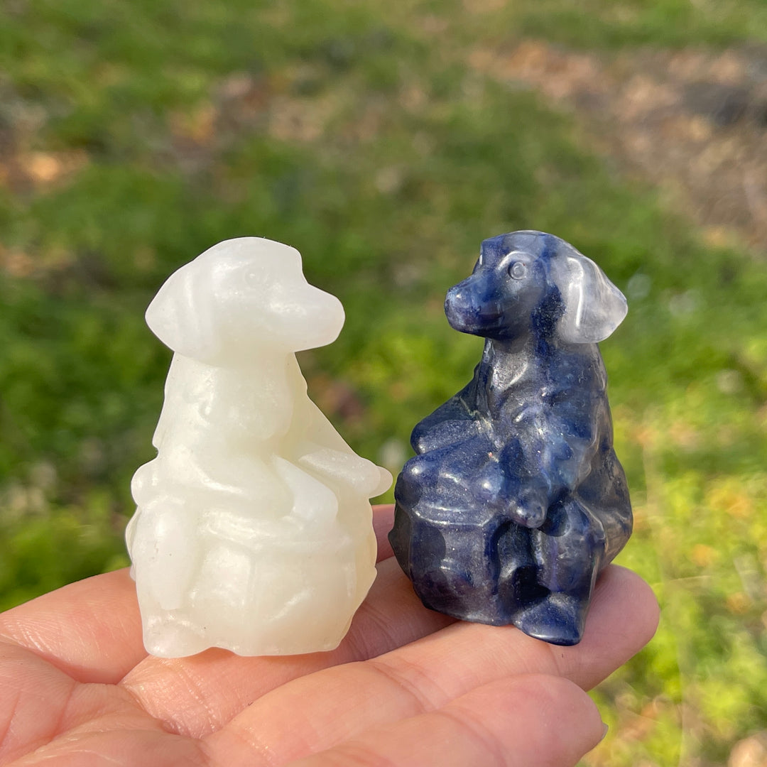 Natural Crystal Carving Playful Drumming Dog