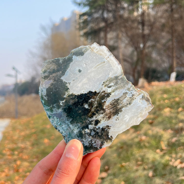Natural Crystal Moss Agate Slice