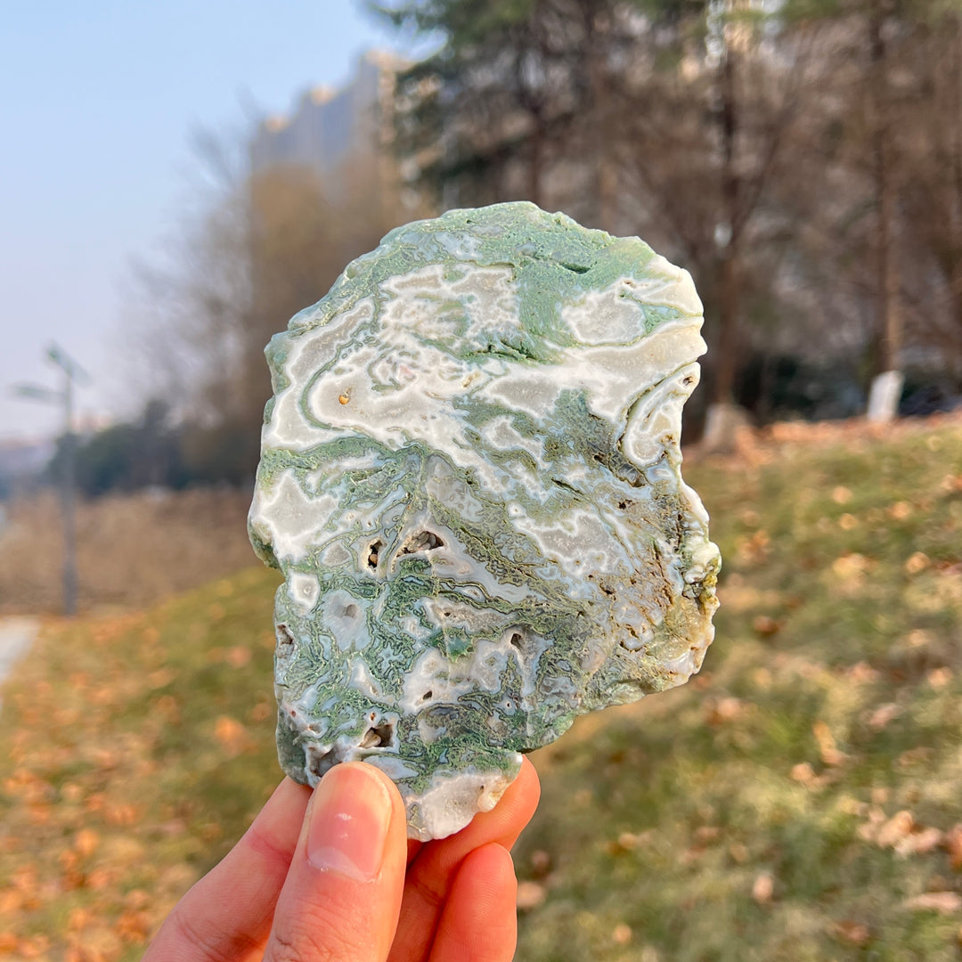 Natural Crystal Moss Agate Slice