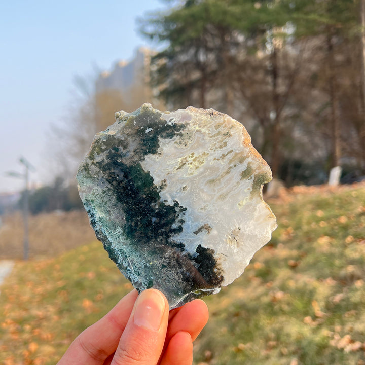 Natural Crystal Moss Agate Slice