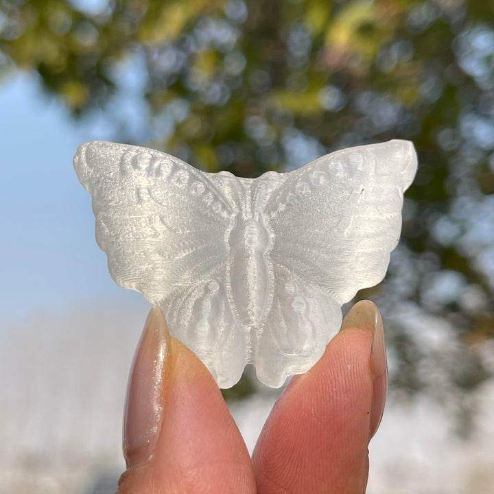 Natural Crystal Carving Selenite Butterfly