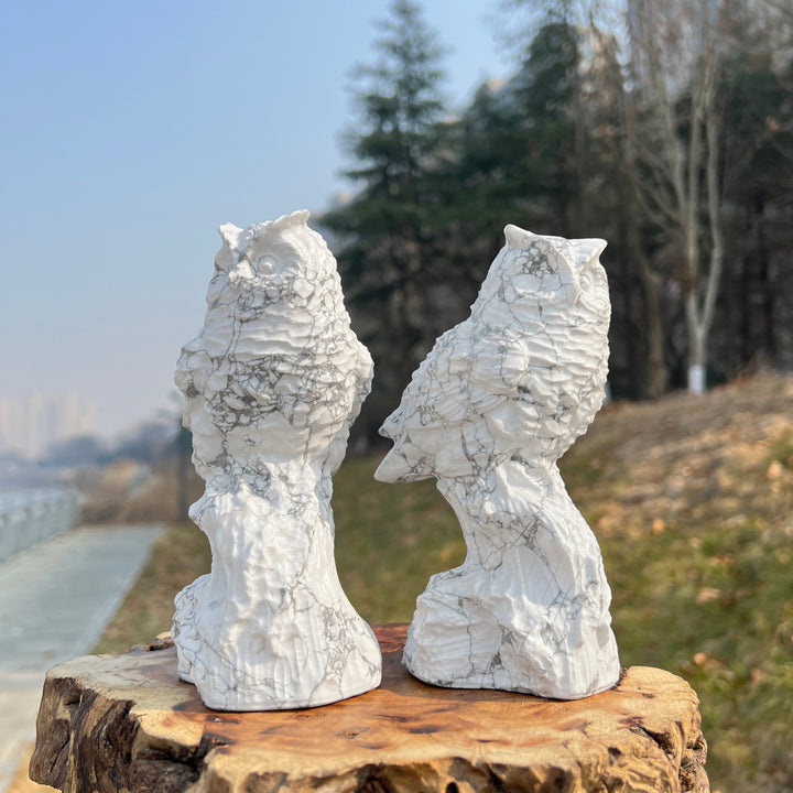 Natural Crystal Howlite Owl Carving