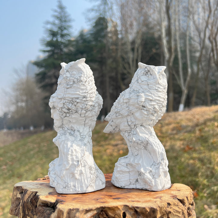 Natural Crystal Howlite Owl Carving