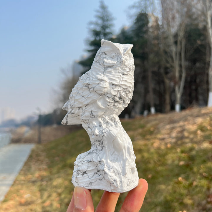 Natural Crystal Howlite Owl Carving