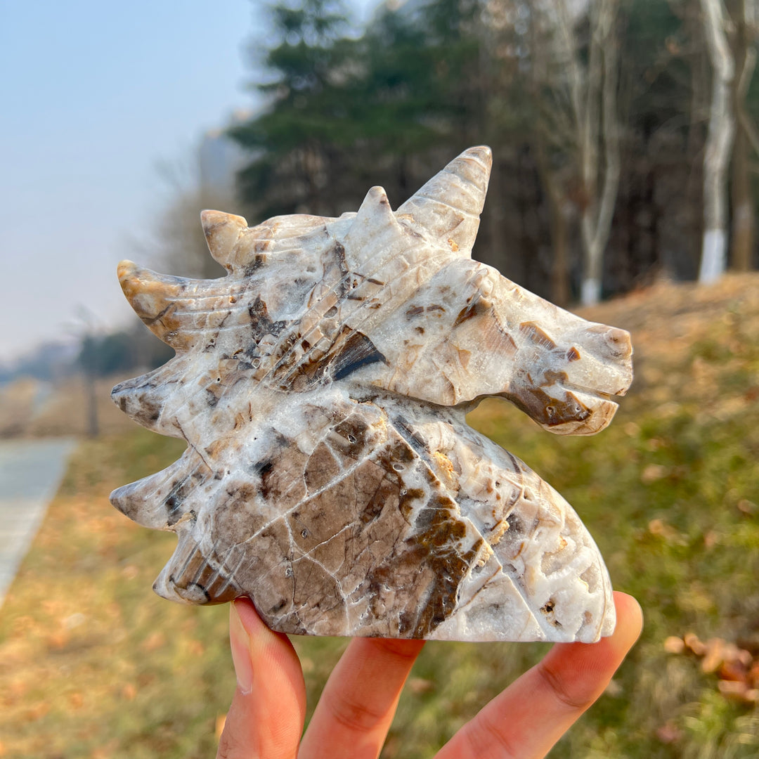 Unique,Natural Crystal Carving Agate Geode Unicorn
